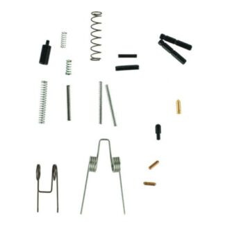 1078425 Smith & Wesson SWA AR OOPS KIT