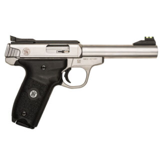 108490 Smith & Wesson SW22 22 LR 5.5" Stainless Steel