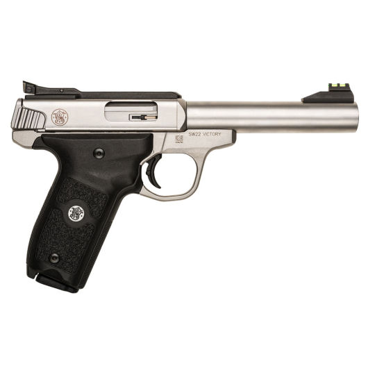 108490 Smith & Wesson SW22 22 LR 5.5" Stainless Steel