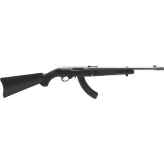 11125 Ruger 10/22 22 LR 16.6" Stainless Steel