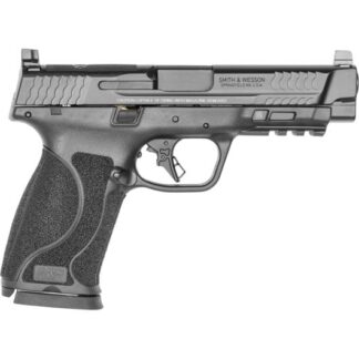 13387 Smith & Wesson M&P 10mm Auto 4.6" Black