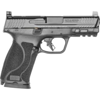 13389 Smith & Wesson M&P 10mm Auto 4.0" Black
