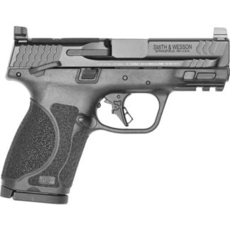 13570 Smith & Wesson M&P 9mm Luger 3.6" Black