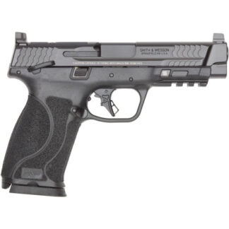14091 Smith & Wesson M&P 10mm Auto 4.6" Black