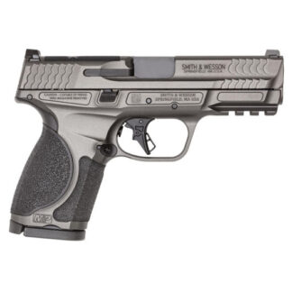 14101 Smith & Wesson M&P 9mm Luger 4.0" Tungsten Gray Cerakote