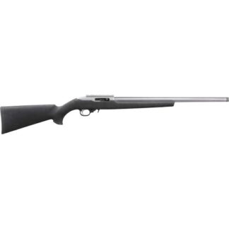 31236 Ruger 10/22 22 LR 20.0" Satin Stainless Steel
