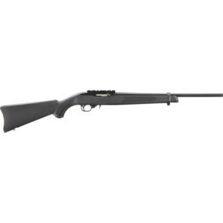 31210 Ruger 10/22 22 LR 18.5" Satin Black