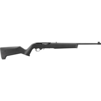 31216 Ruger 10/22 22 LR 18.5" Blue