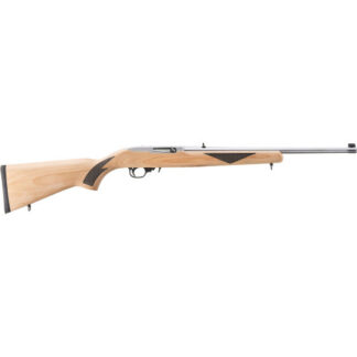 31229 Ruger 10/22 22 LR 18.5" Stainless Steel