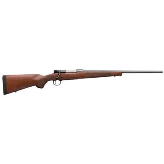 535200212 Winchester Repeating Arms 70 243 Win 22.0" Polished Blue