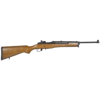 5801-RUG Ruger Mini-14 5.56 NATO 18.5" Blue