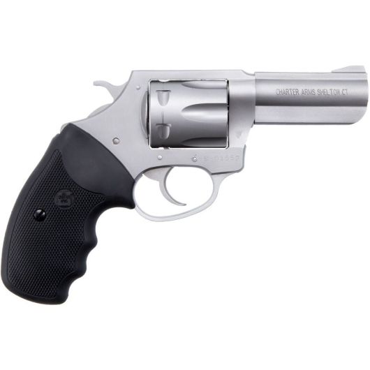 73802 Charter Arms Pit Bull 380 Auto 3.0" 6rd Stainless Steel