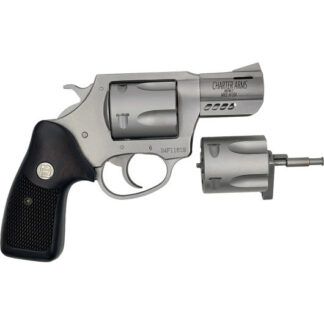 73920 Charter Arms Double Dog 357 Mag 2.2" 5rd Stainless Steel