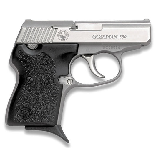 NAA-380GUARDIAN North American Arms Guardian 380 Auto 2.5" Stainless Steel