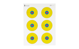 ACTPR-BE6-100 Action Target High Visibility