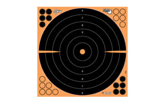 ALN15227 ALLEN EZ AIM 16"X16" BULLSEYE 5PK