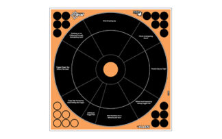 ALN15248 ALLEN EZ AIM 12"X12" HG TRAINER 5PK