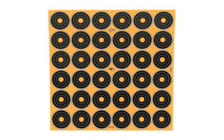 ALN15250 ALLEN EZ AIM 1" BULLSEYE 12 SHEETS