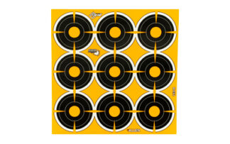 ALN15318 ALLEN EZ AIM 2" BULLSEYE 12 SHEETS