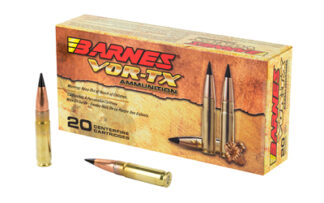 BB300AAC1 BARNES VOR-TX 300BLK 110GR TTSX FB
