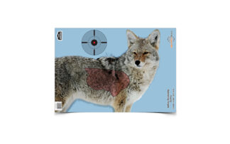 BC35405 B/C PREGAME COYOTE TGT 3-16.5X24