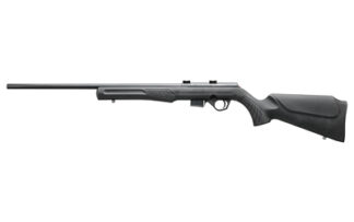 BRZRB17H2111 ROSSI RB17 17HMR 21" 5RD BLK