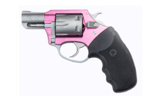CH52230 CHARTER ARMS PINK LADY 22LR 2" 8RD