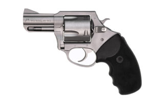 CH74520 CHARTER ARMS PITBULL 45ACP 2.5" STS
