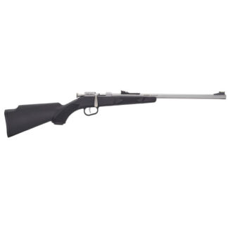 H005R Henry Repeating Arms Mini Bolt 22 LR 16.2" 1rd Matte Stainless Steel