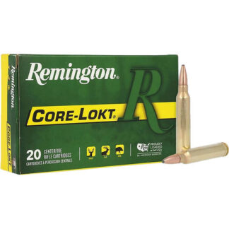R300W1 Remington REM 300 150GR CORE PSP 20RD Win Mag