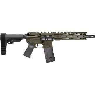 DB1916B101 DiamondBack DB15 300 Blk 10.0" OD Green Cerakote