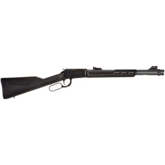 RL22181SY Rossi Rio Bravo 22 LR 18.0" Matte Black